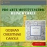 Heinz Wehrle, Pro Arte Motettenchor