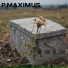 P. Maximus feat. Yavonne Brown