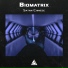 Biomatrix