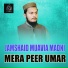 Jamshaid Muavia Madni