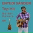 Sandor Enyedi