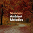 Calm Music for Sleeping