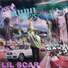 lilscarf