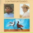 El Carrao de Palmarito