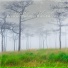 Sebastian Riegl