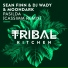 DJ Wady, Sean Finn, MoonDark