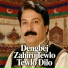 Dengbej Zahiro