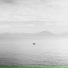 Matteo Ceccarini, Ensaime