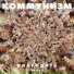 Яна Дягилева [http: musvkontakte.ru]