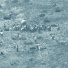 Earth Ball
