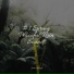 Yoga Soul, Study Music, Nature Sounds XLE Library