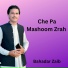 Bahadar Zaib