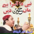 Shahbaaz Qamar Fareedi