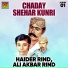 Haider Rind, Ali Akbar Rind