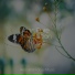 The Sleep Specialist, Calm shores, Best Kids Songs