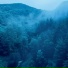 TemporarySilence