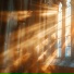 Bible English Music