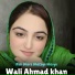 Wali Ahmad khan