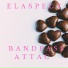 Elaspects