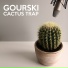 Cactus trap by Gourski