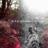 Shamanic Drumming Consort