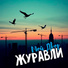 Мой Двор
