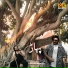DJ Shahzad