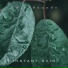 Rain Sounds