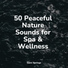 Yoga Sounds, Zen Music Garden, Nature and Rain