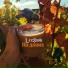 LexSavin