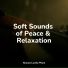 Piano Relajante, Smart Baby Academy, Calm shores