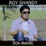 Boy Shandy