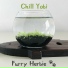 Furry Herbie