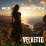 VELVETTO