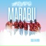Grupo Marabu