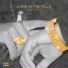 MatheusMT