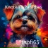 thofi65