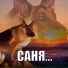 DJ Sashok