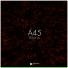 A45