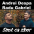 Andrei Despa feat. Radu Gabriel