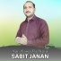 Sabit janan
