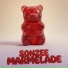 SONZEE