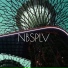NBSPLV