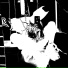ssspringvoid