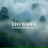 LFO Waves