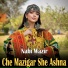 Nabi Wazir