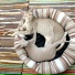 Music For Cats, Cat Music, Pet Care Club