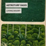 Astroturf Oasis