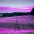 redestery