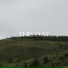 Lwy